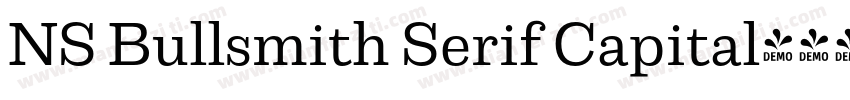 NS Bullsmith Serif Capital字体转换